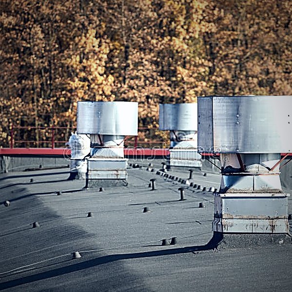 Roof exhaust fan