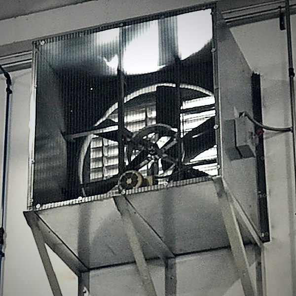 Wall exhaust fan